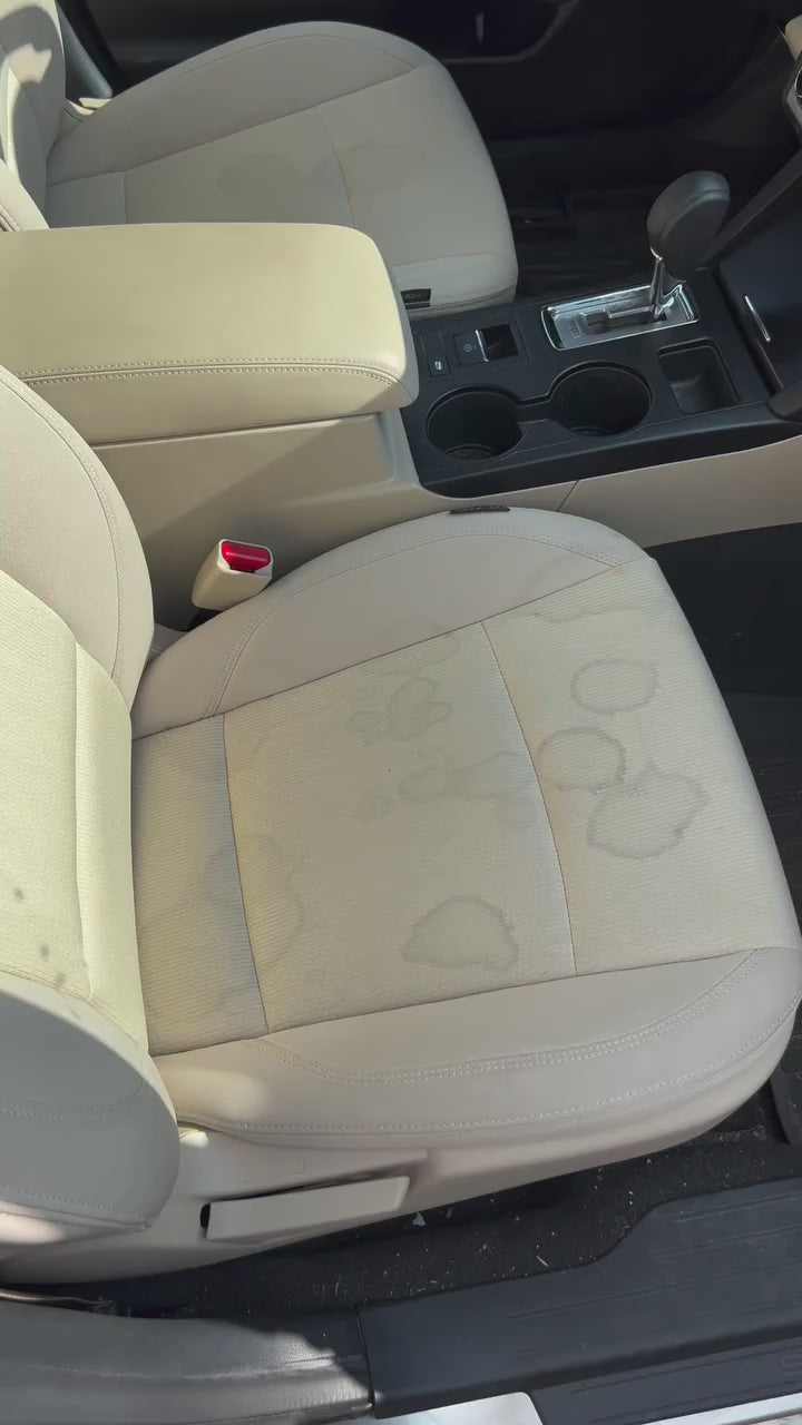 Deep Interior Cleaning & Detailing for All Cars